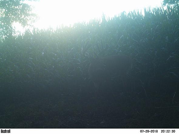 PICT0093