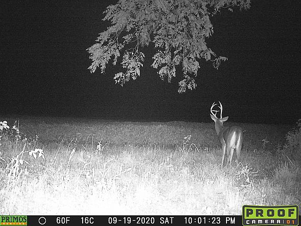 09190805