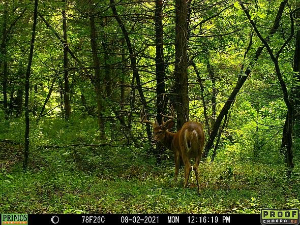 08020884