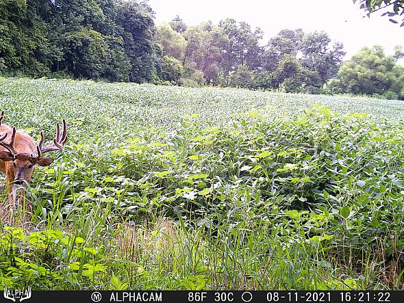 08110655