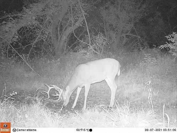 09070277