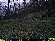 04050884