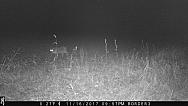 2017-11-16 IMG 1201