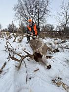 IMG 0996