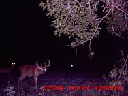 MDGC0007