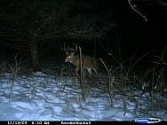 CDY_0070.JPG