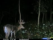 CDY_0141.JPG