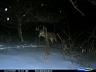 CDY_0156.JPG