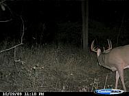 CDY_0206.JPG