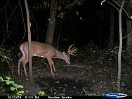 CDY_0230.JPG