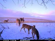 CDY_0350.JPG