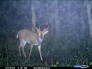 CDY_0514.JPG