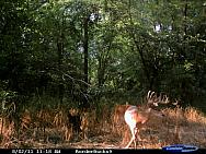 CDY 0001