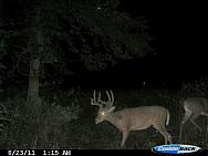 CDY 0030