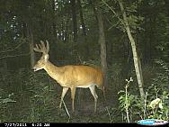 CDY 0064
