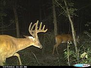 CDY 0076