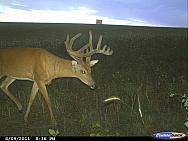 CDY 0171