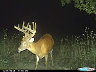 CDY 0202
