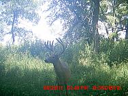 MDGC0194