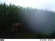 PICT0055
