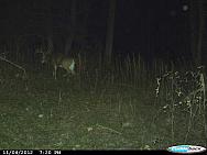 CDY 0002