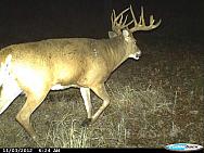 CDY 0003