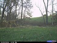 CDY 0006