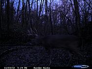 CDY 0028