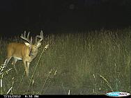 CDY 0070
