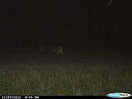 CDY 0071