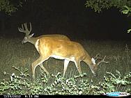 CDY 0074