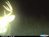 CDY 0078