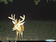 CDY 0078