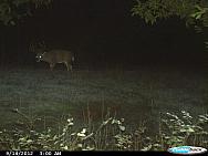 CDY 0114