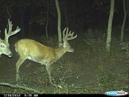 CDY 0355