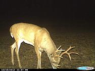 CDY 0537