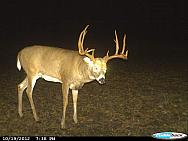 CDY 0715