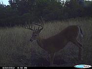 CDY 0751