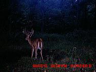 MDGC0067