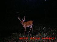 MDGC0069
