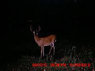 MDGC0071