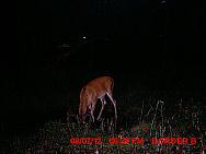 MDGC0072