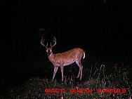 MDGC0074