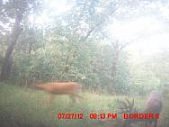 MDGC0171