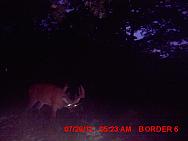 MDGC0183
