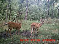 MDGC0292