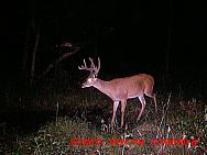 MDGC0823