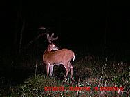 MDGC0828