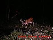 MDGC0829