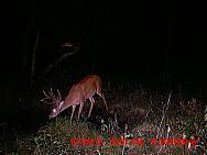 MDGC0830